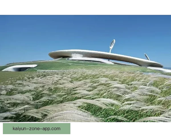 开云体育入口：探索全新在线体育娱乐平台的优势与创新体验